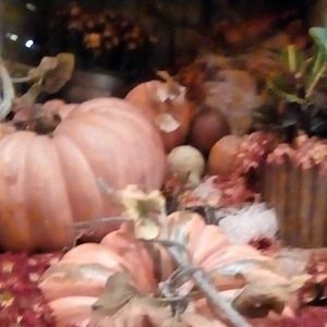 Meet your Posher, Janet